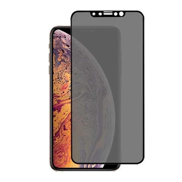 Premium AAA Full Cover Light Privacy Tempered Glass Screen Protector for Apple iPhone XS Max/11 Pro Max - Black Edge (No package)